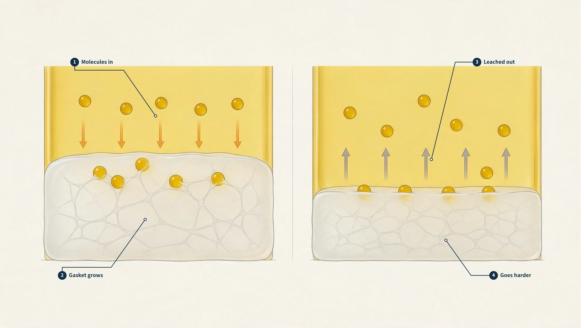 Conceptual illustration of swelling and extraction mechanisms in silicone after liquid exposure